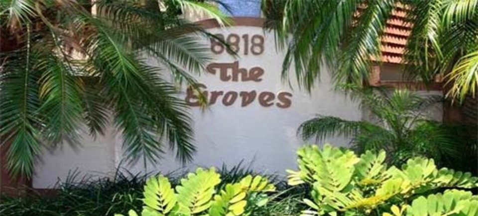 Groves at sunset slide20150105 22177 1xgjnen 960x435